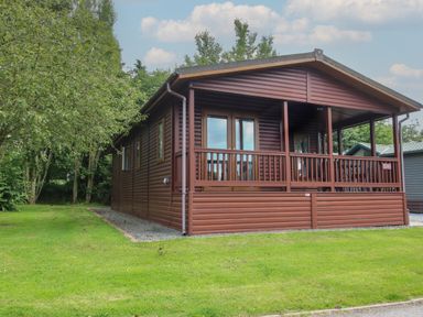 A brown wooden cabin with a covered porch and glass doors surrounded by green grass and trees at Daffodil in Eardisland