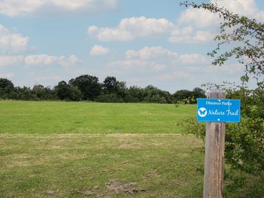 A grassy field with trees in the background and a wooden post with a blue nature trail sign at Daffodil in Eardisland