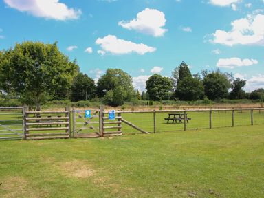 A fenced grassy field with picnic benches and trees under a blue sky at Daffodil in Eardisland