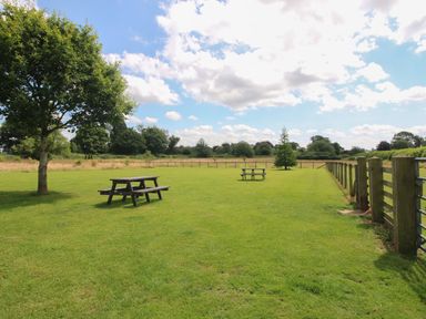 A grassy outdoor area with picnic tables trees and a wooden fence under a partly cloudy sky at Daffodil in Eardisland