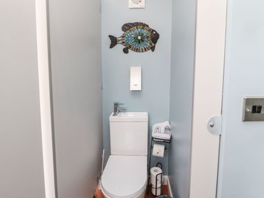 A small bathroom with a toilet a wall-mounted soap dispenser a decorative fish on the wall a toilet paper holder and a toilet brush holder at Coast Cottage in Bamburgh