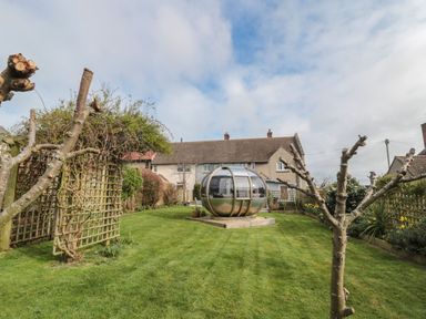A garden with trimmed trees lawn and a metallic spherical seating pod in front of a row of houses at Coast Cottage in Bamburgh