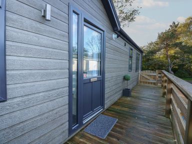 A wooden exterior deck with a dark framed glass door and a small plant at the side of a house at Lake View Lodge in Tallington