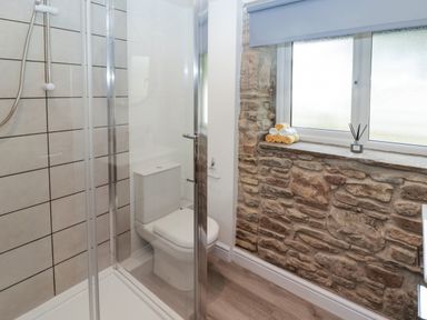 A bathroom with a shower enclosure a toilet a stone wall and a window with towels on the sill at The Nest in Amroth