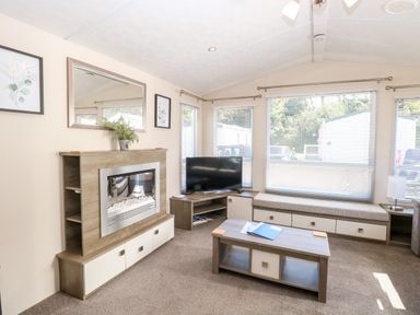A living room with a fireplace a television a coffee table and large windows at Hazell Thorne Hideaway in Fritton