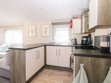 A kitchen with cabinets a stove a kettle and a sink next to a living area with a couch at Hazell Thorne Hideaway in Fritton