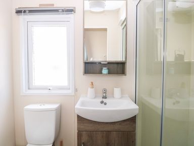 A bathroom with a toilet sink mirror and shower at Hazell Thorne Hideaway in Fritton