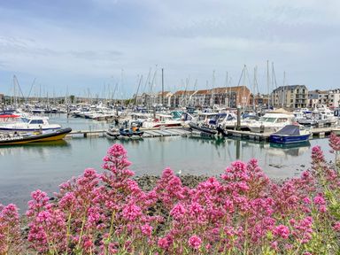 A marina with boats docked in the water and pink flowers in the foreground at Bay Cottage in Weymouth