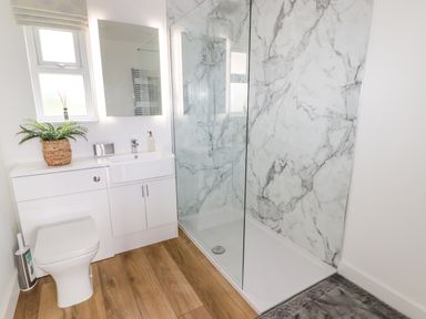 A bathroom with a toilet sink vanity with a plant shower with glass door and marble wall at Heritage Retreat in Monknash