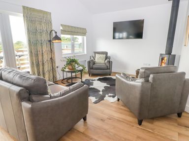 A living room with leather sofas a black white rug a wall mounted television a stove and a round side table with a plant at Monks Rest in Monknash