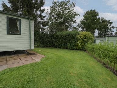 A grassy garden area with small trees and shrubs next to mobile homes at Dove in Shobdon