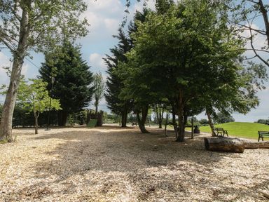 An outdoor area with trees benches wooden log and playground equipment at Dove in Shobdon