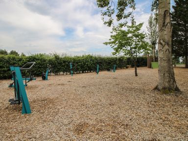 Outdoor exercise area with equipment and trees at Dove in Shobdon