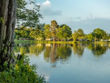 A serene lakeside view with cabins and trees at Dove in Shobdon