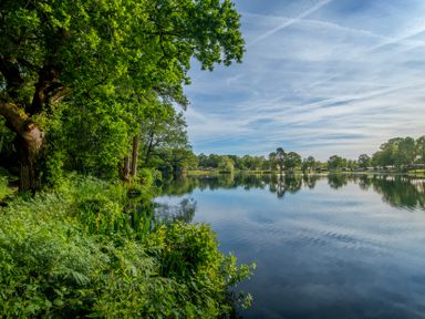 A lake surrounded by trees and greenery at Dove in Shobdon