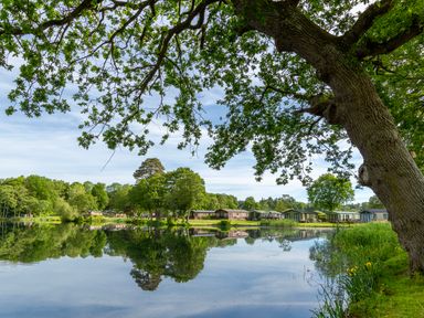 A view of cabins by a lake with trees at Dove in Shobdon