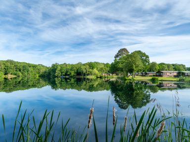 A lake surrounded by trees and cabins at Dove in Shobdon