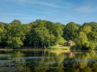 A house by a lake surrounded by trees at Dove in Shobdon