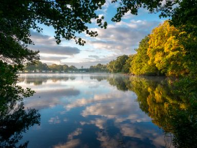 A lake surrounded by trees and clouds in the sky at Dove in Shobdon