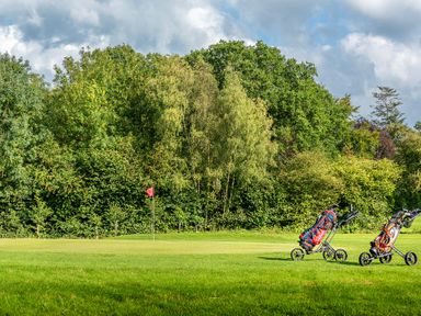 A golf course with trolleys and a flag at Dove in Shobdon