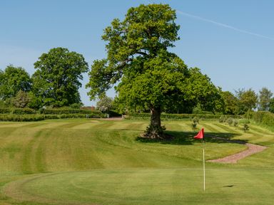 A golf course with a tree and a red flag in the foreground at Dove in Shobdon