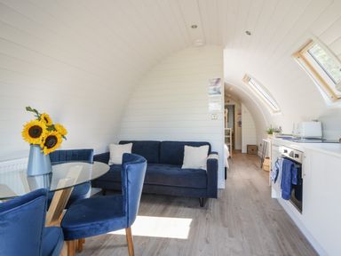 A small living area with blue chairs, a glass table with sunflowers, a blue sofa, and a kitchen area in a curved interior at Cedar in Wootton Fitzpaine near Charmouth