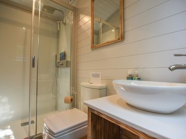 A bathroom with a glass shower, toilet, white sink, and wooden mirror frame at Cedar in Wootton Fitzpaine near Charmouth