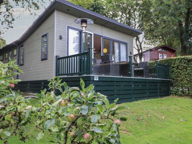 An exterior view of a modern cabin with a deck and outdoor furniture surrounded by trees and bushes at Serendipity R11 Fallbarrow Park near Bowness-On-Windermere
