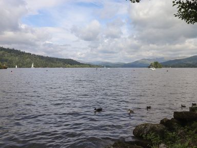 A lake with sailboats and ducks near a rocky shoreline at Serendipity in R11 Fallbarrow Park near Bowness-On-Windermere