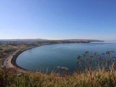 A coastal bay with a curved road and buildings along the shore with vegetation in the foreground at The Woodpecker in Scarborough