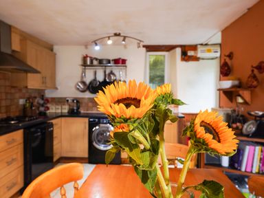 A kitchen with sunflowers on a wooden table wooden cabinets and hanging pots at Delfryn, Goginan in Goginan near Aberystwyth