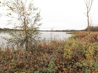 A lake with shrubs and trees along the shore at Pine Lake View in Coniston View 3 Carnforth