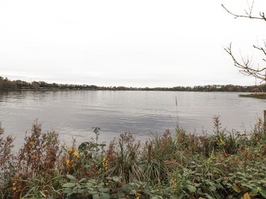 A lake with plants and bushes on the shore and trees in the distance at Pine Lake View in Coniston View 3 Carnforth