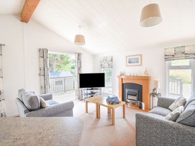 A living room with two grey sofas a wooden coffee table a TV and a fireplace at The Hideaway in Eype