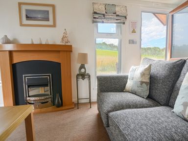 A living room with a grey sofa a wooden fireplace a window with patterned blinds and a table lamp at The Hideaway in Eype