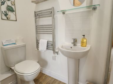 A bathroom with a toilet a towel rail and a sink with soap at Turning Tide in Beadnell