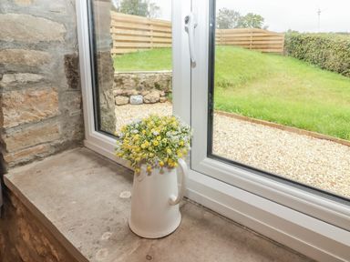A white pitcher with yellow and white flowers on a stone windowsill next to a window overlooking a garden at The Stable in Amroth