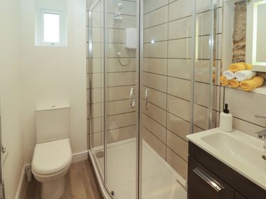 A bathroom with a toilet a shower with glass doors a sink with a soap dispenser and towels on the windowsill at The Stable in Amroth
