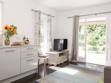 A kitchen corner with a chair next to a window and a TV on a cabinet by a door leading outside at Watersong in Coniston