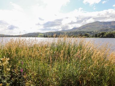 A lakeside view with tall grass and mountains in the background at Watersong in Coniston