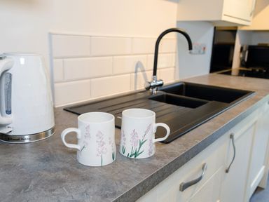 A kitchen countertop with a white kettle and two floral mugs near a black sink at School Lodge in Llandeilo