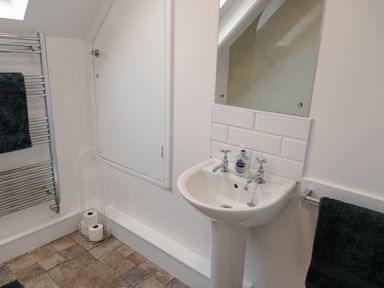A bathroom with a pedestal sink and mirror above it with hand soap on the sink and black towels hanging and a white rack holding toilet paper at School Lodge in Llandeilo