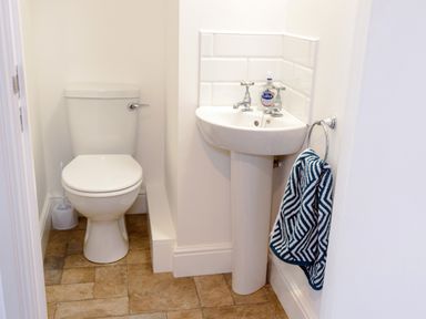 A small bathroom with a toilet and a pedestal sink with a towel on a ring at School Lodge in Llandeilo