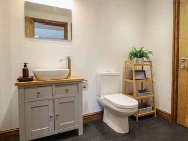 A bathroom with a toilet a sink with a cabinet mirror and a wooden shelf with plants and baskets at Gaerau Bach in Llanaber