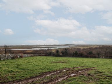 A green field with muddy tire tracks and a stone wall near water and trees at Gaerau Bach in Llanaber