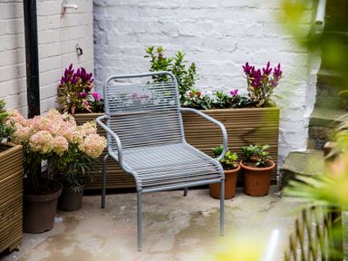 A metal chair surrounded by potted plants in a small outdoor patio with white brick walls
