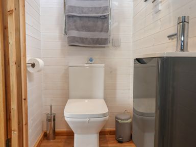 A bathroom with a toilet a gray trash bin a stainless steel toilet brush holder a towel on a heated rail and a sink at Lottie's Hut in Okehampton