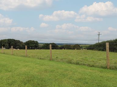 A fenced grassy field with sheep and trees under a partly cloudy sky at Lottie's Hut in Okehampton