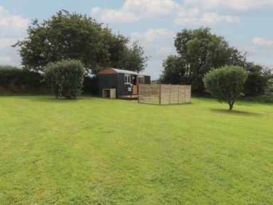 A small wooden cabin with a fence and two trees on a grassy field