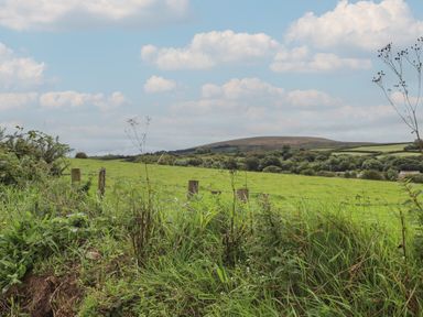 A green field with grass and plants and a fence with wooden posts and wire under a cloudy sky at Lottie's Hut in Okehampton